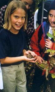 Big toad!